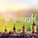 Waggle Network