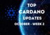 Cardano updates october week 2