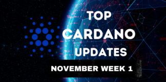 Top Cardano Updates November Week 1