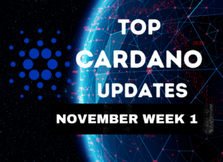Top Cardano Updates November Week 1