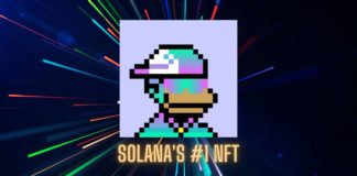 Solana Monkey Business is Solana's #1 NFT Collection