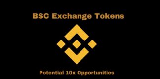 Potential 10x Opportunities on BSC