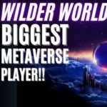 Wilder world metaverse