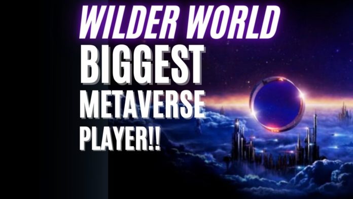Wilder world metaverse