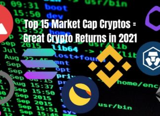 Top 15 Market Cap Crypto Returns