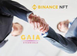 Gaia Enterworld Binance NFT