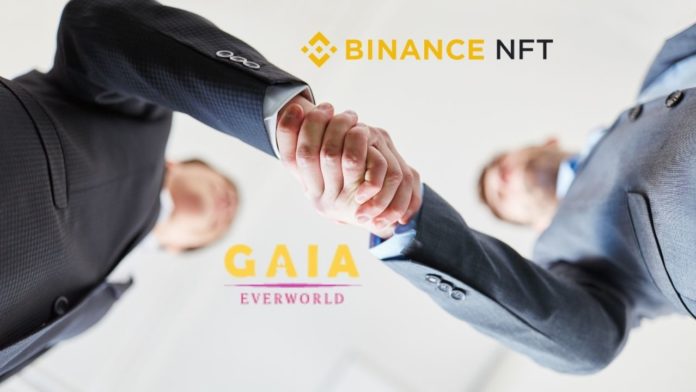 Gaia Enterworld Binance NFT