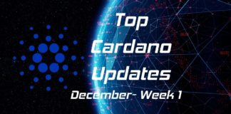 Cardano news december week 1