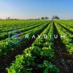 How to Farm and Stake Into the Raydium Platform