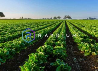 How to Farm and Stake Into the Raydium Platform
