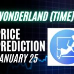 TIME Price Prediction