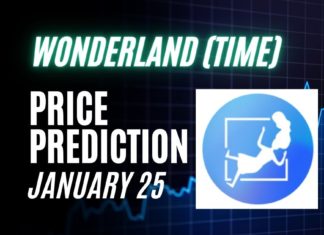 TIME Price Prediction