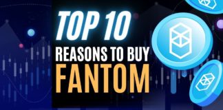 10 reasons to buy fantom