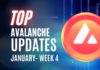 Avalanche Updates | Avalanche Issues Submission Alert for Its Hackathon