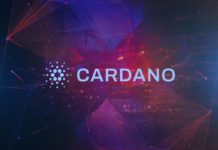 Cardano 2021 summary