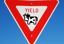 How To Participate In Yield Farming In Beefy Finance