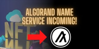 algorand name service .algo