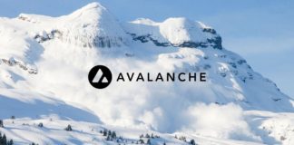 Top Gainers on the Avalanche (AVAX) Ecosystem