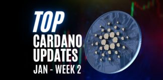 Cardano Updates | Cardano Projects With Most Trading Volume | Jan Week 2