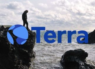 Terra Total Value Locked Surges Past BSC