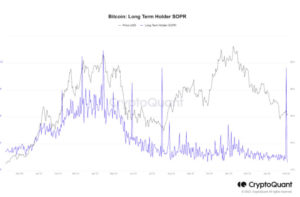 bitcoin long term holder