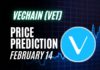 VET Price Prediction