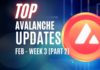 Avalanche news February week 3