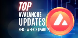 Avalanche news February week 3