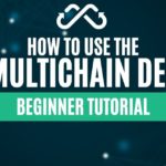 how to use the multichain dex