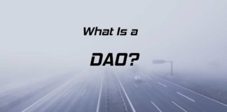 what is a DAO?