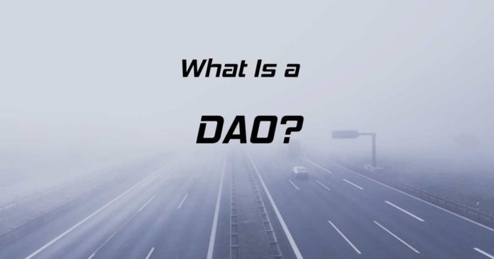 what is a DAO?
