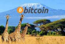 Bitcoin africa