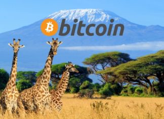 Bitcoin africa