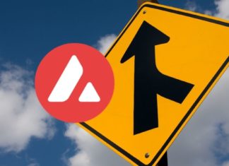 Avalanche Network Gets Its First DAO Merger