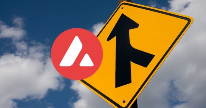 Avalanche Network Gets Its First DAO Merger