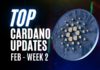 Top Cardano news february week 2