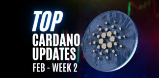 Top Cardano news february week 2
