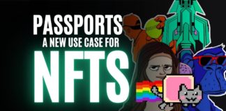 nft passports