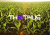 Cardano DEX Thothus to Offer Metaverse Farm Yields