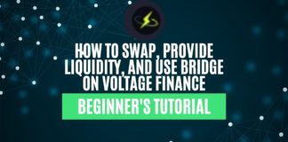 Voltage Finance review