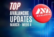Avalanche Updates March Week 4