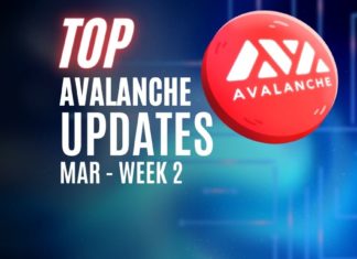 Avalanche news