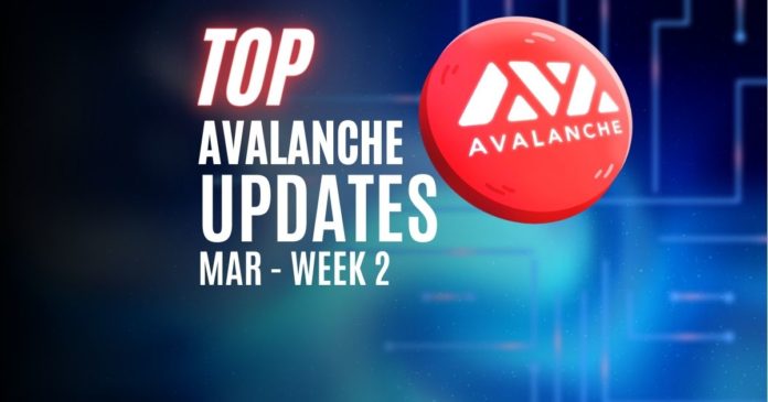 Avalanche news