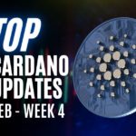 Cardano Updates | Cardano Ecosystem Performance in February | Feb Week 4