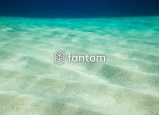 Fantom: Is the Bottom in for Fantom?