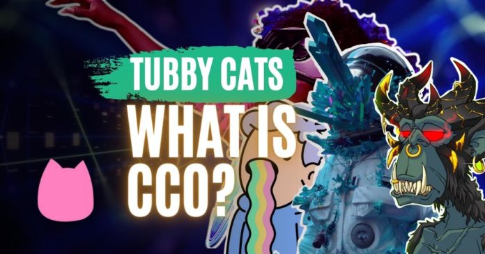 tubby cats