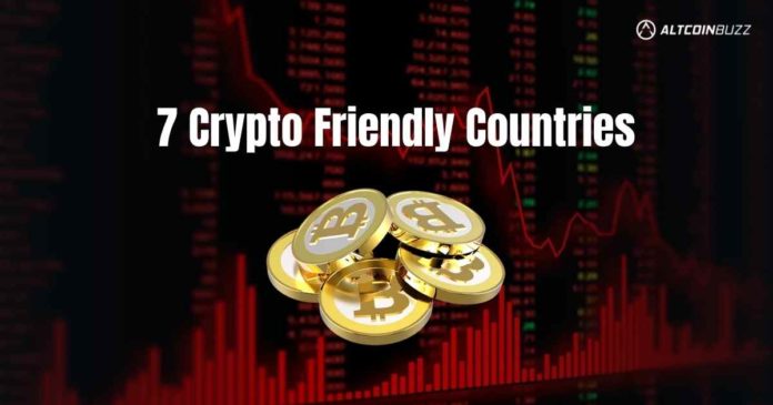 7 Crypto Friendly Countries