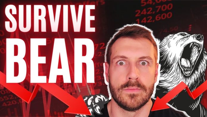 how to survive the crypto bear market