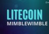 Litecoin (LTC) Is Completing the Mimblewimble Update