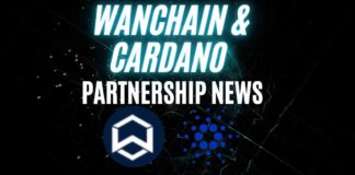 Wanchain Partners w Cardano